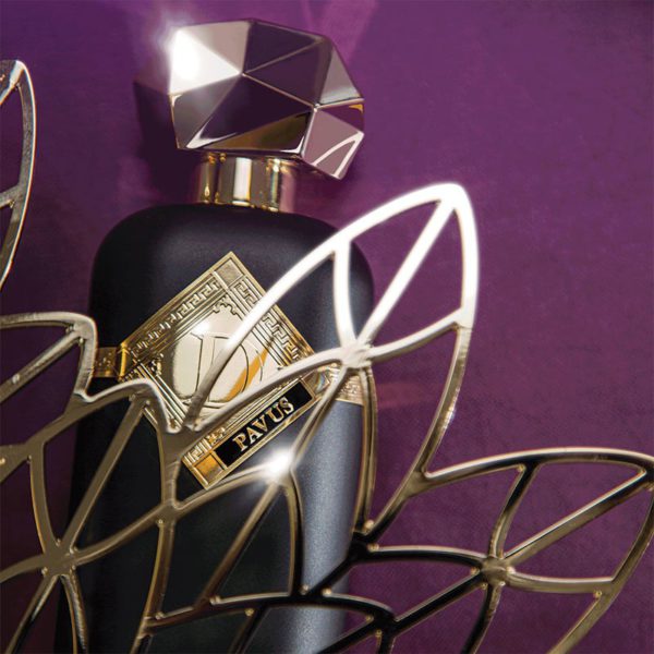 DANHERA PAVUS Extrait de Parfum 100 ml - Image 3