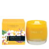 6980-1.jpg Infusion - Energise - Lemon Tea & Grapefruit - Scented Candle