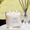 70634_Silver_Birch_Modern_Classics_Lifestyle__92686-2.jpg Modern Classics - Silver Birch & Black Pepper - 3-Wick Candle
