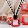 Elements - Light - Blush Rose & Peony - Scented Candle - Boxed Tumbler