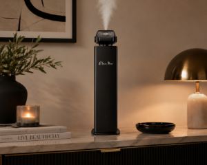 Shop Mist diffuser machine online