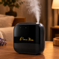 Esorae-Home-Mist-diffuser-for-home-300x200 Esorae Home Mist diffuser